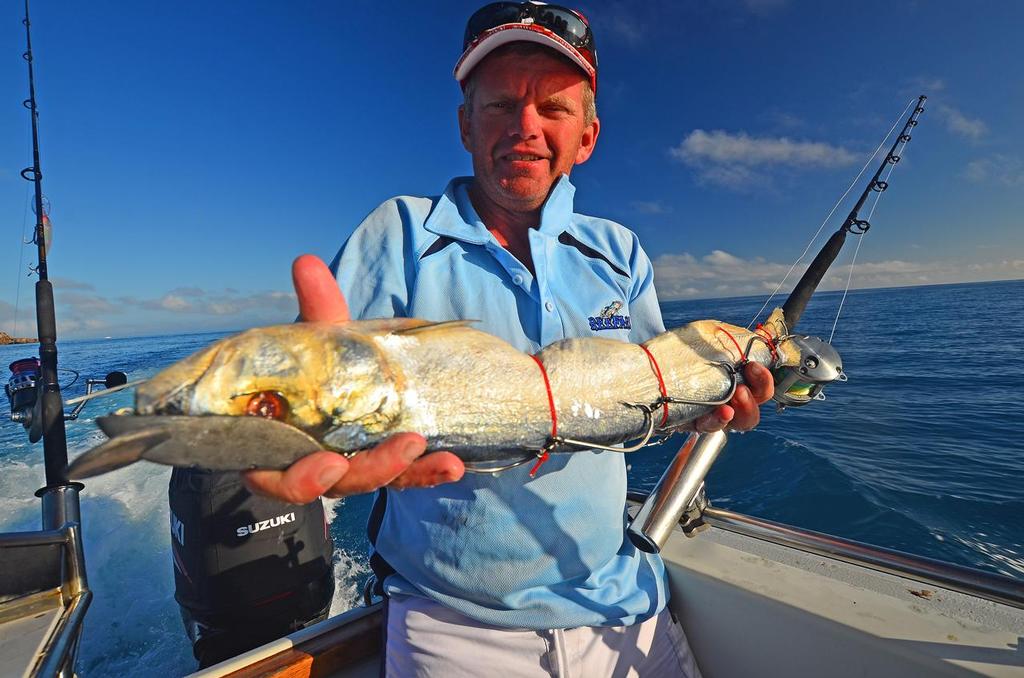 Even trolling big wolf herring baits couldn't tempt the mackerel. - Big Fish on the Kinder Surprise Combo © Lee Brake